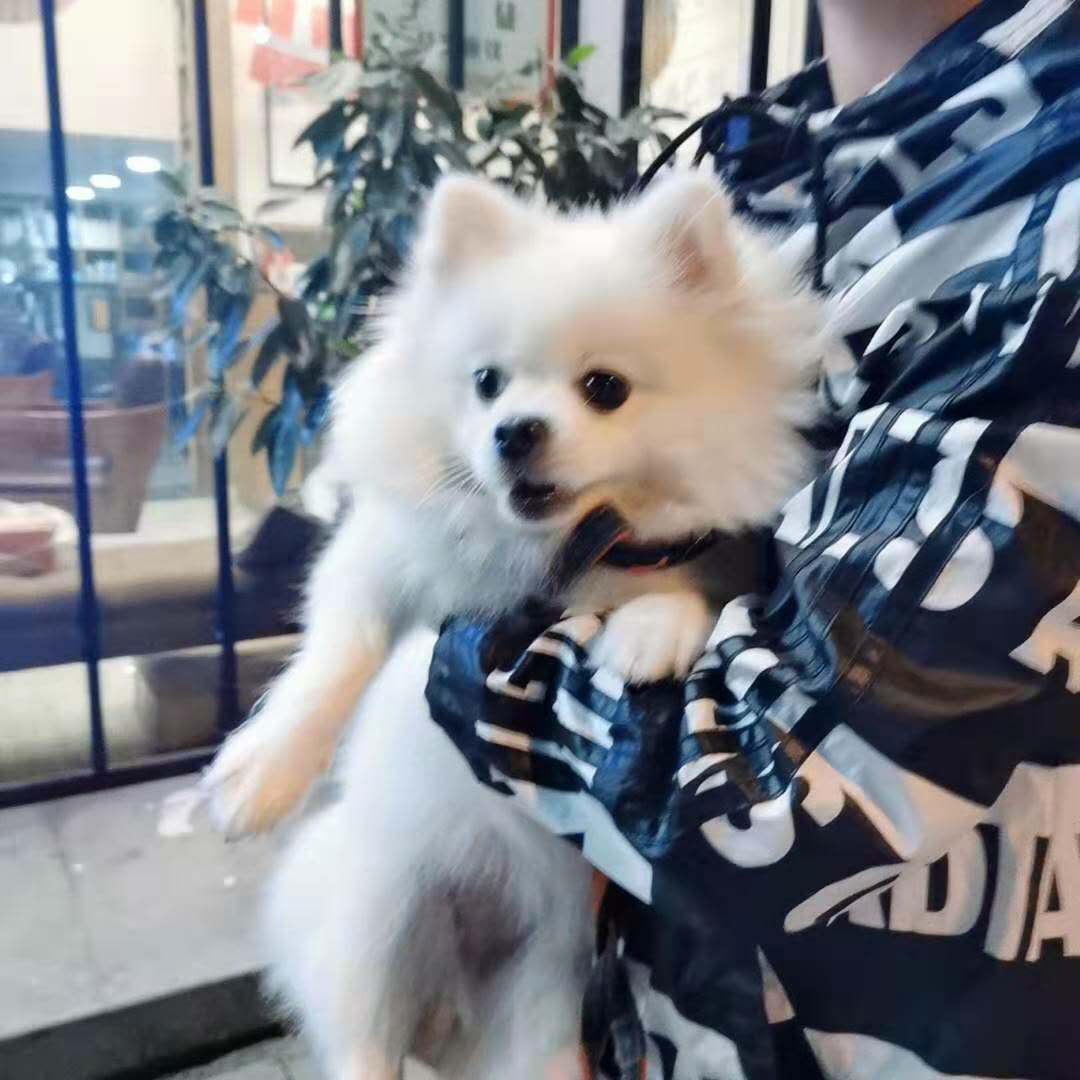 宜家家居怎么整屋定制,刚入坑的全屋定制设计