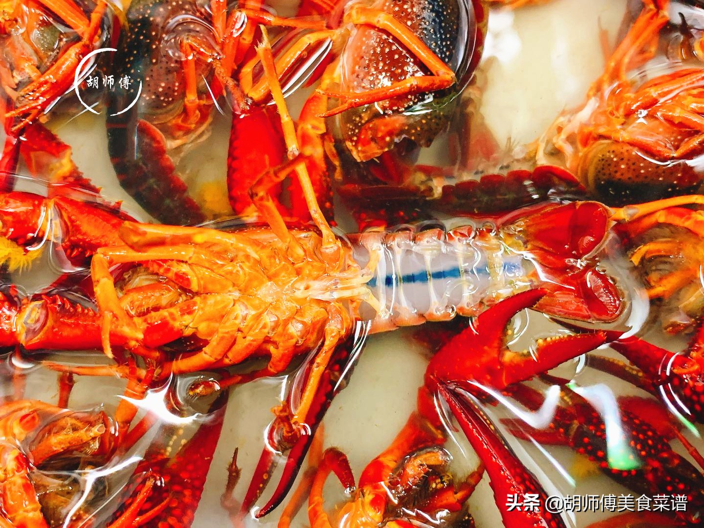 龙虾洗过怎样做好吃,龙虾高级处理