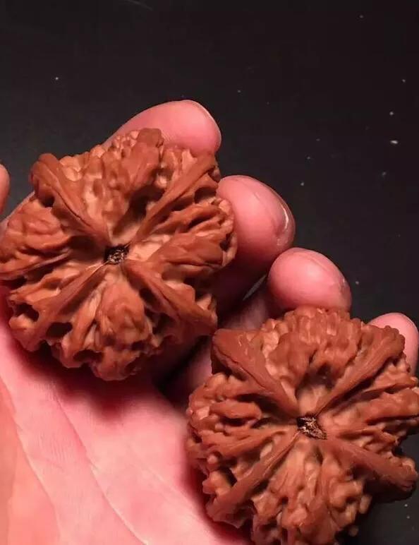 文玩核桃阴皮和返油怎么办？刚人坑文玩伙伴欢迎评说！