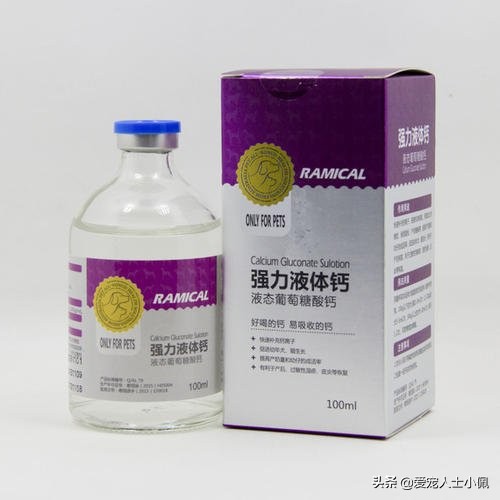 狗狗缺钙的表现怎么治疗,怎么看狗狗缺钙不缺钙