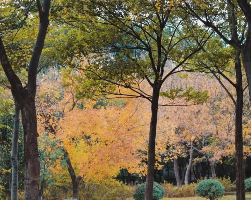 山东自驾游最佳旅游路线发布,山东自驾旅游攻略最全最好的线路