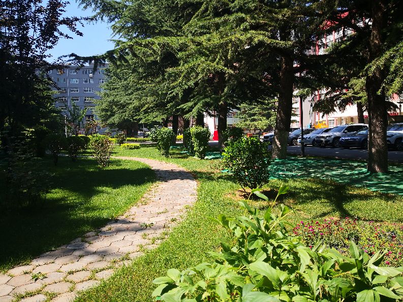 国家电网甘肃电力科学研究院地址,国网甘肃电力公司电科院近期新闻