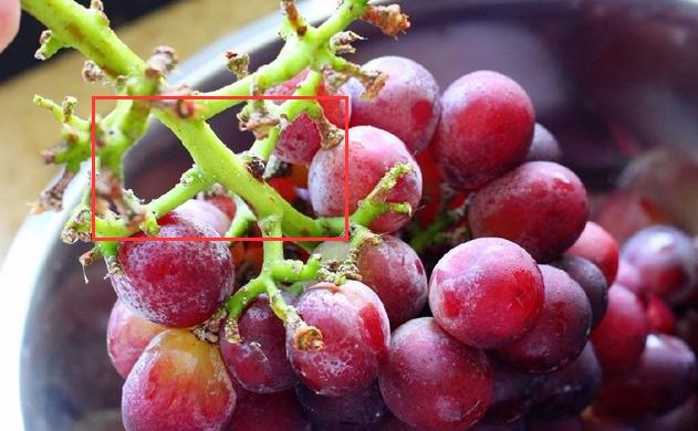 葡萄是大颗粒好还是小颗粒好,葡萄大粒无籽甜度对比