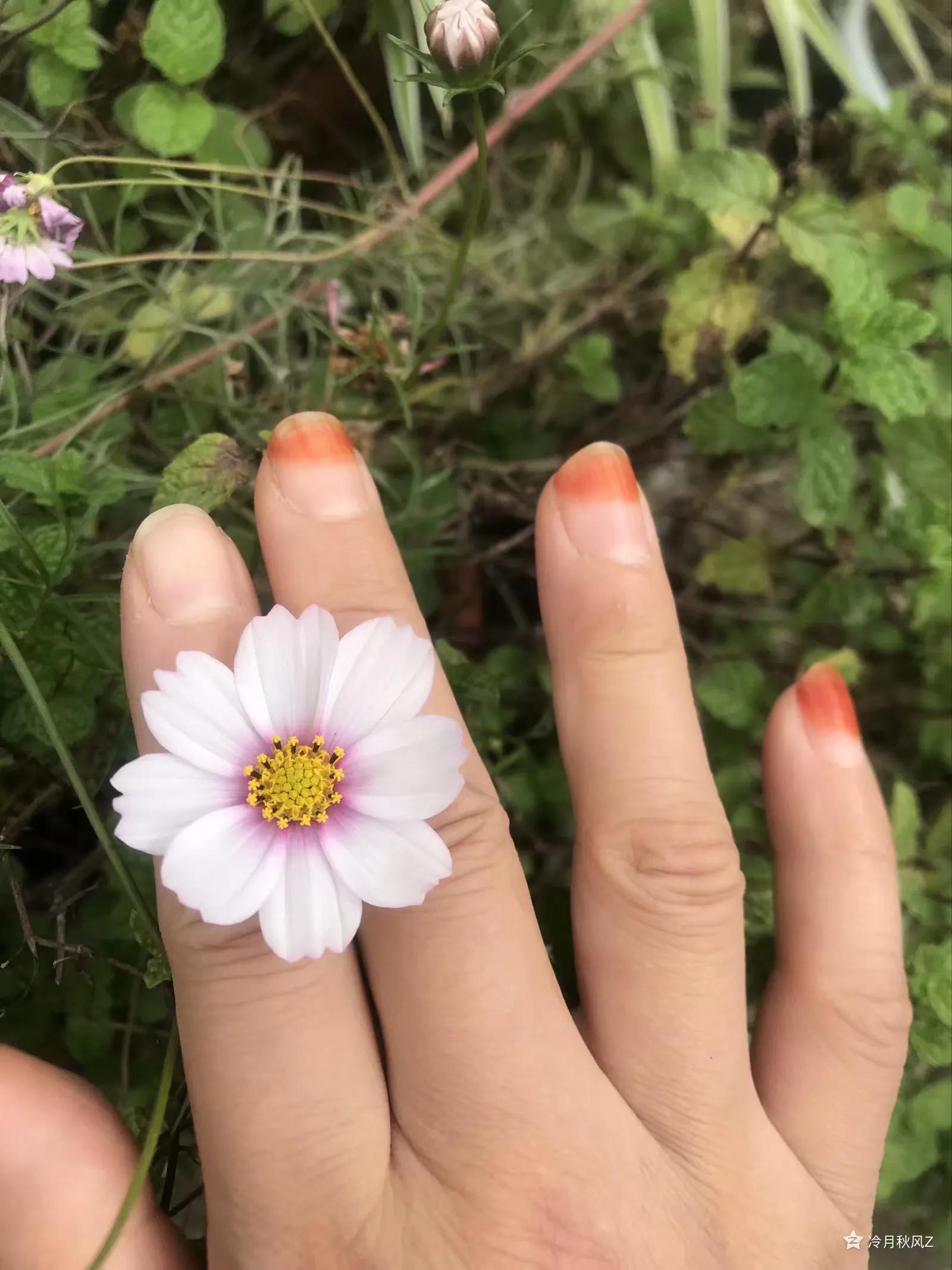 最美的戒指背景图,最美的戒指