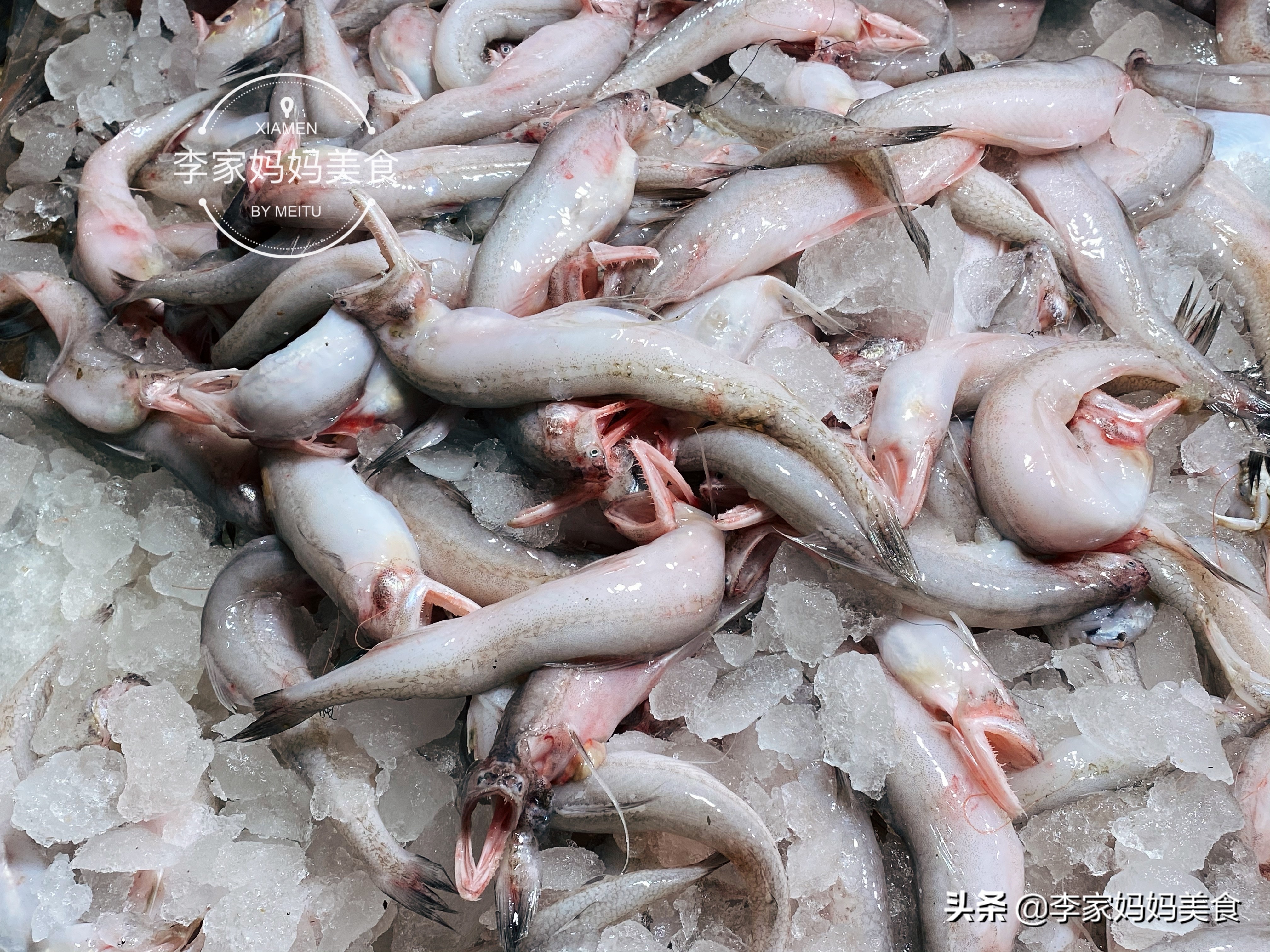 内行人专挑这4种鱼肉细嫩鱼刺少,哪种鱼鱼刺少便宜