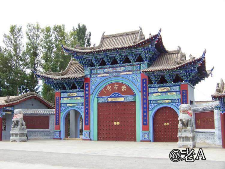 朋友们来张掖吧原视频,朋友来张掖吧