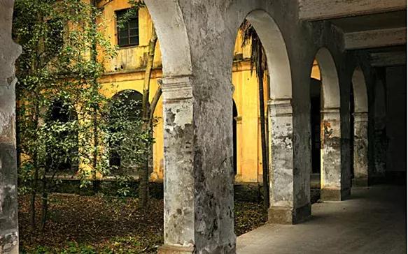 不到嘉兴也能吃到正宗的嘉兴粽子,美味的地道的嘉兴粽子