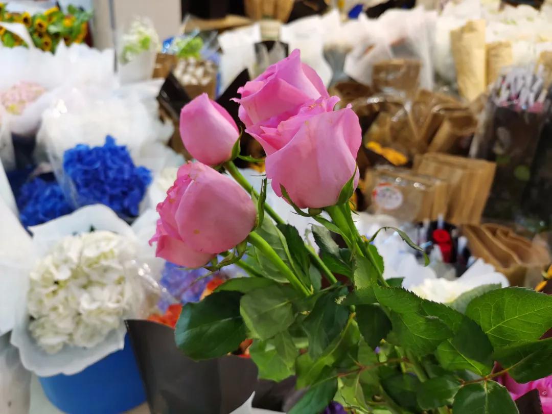 5月岭南花卉市场,红星花卉市场七夕