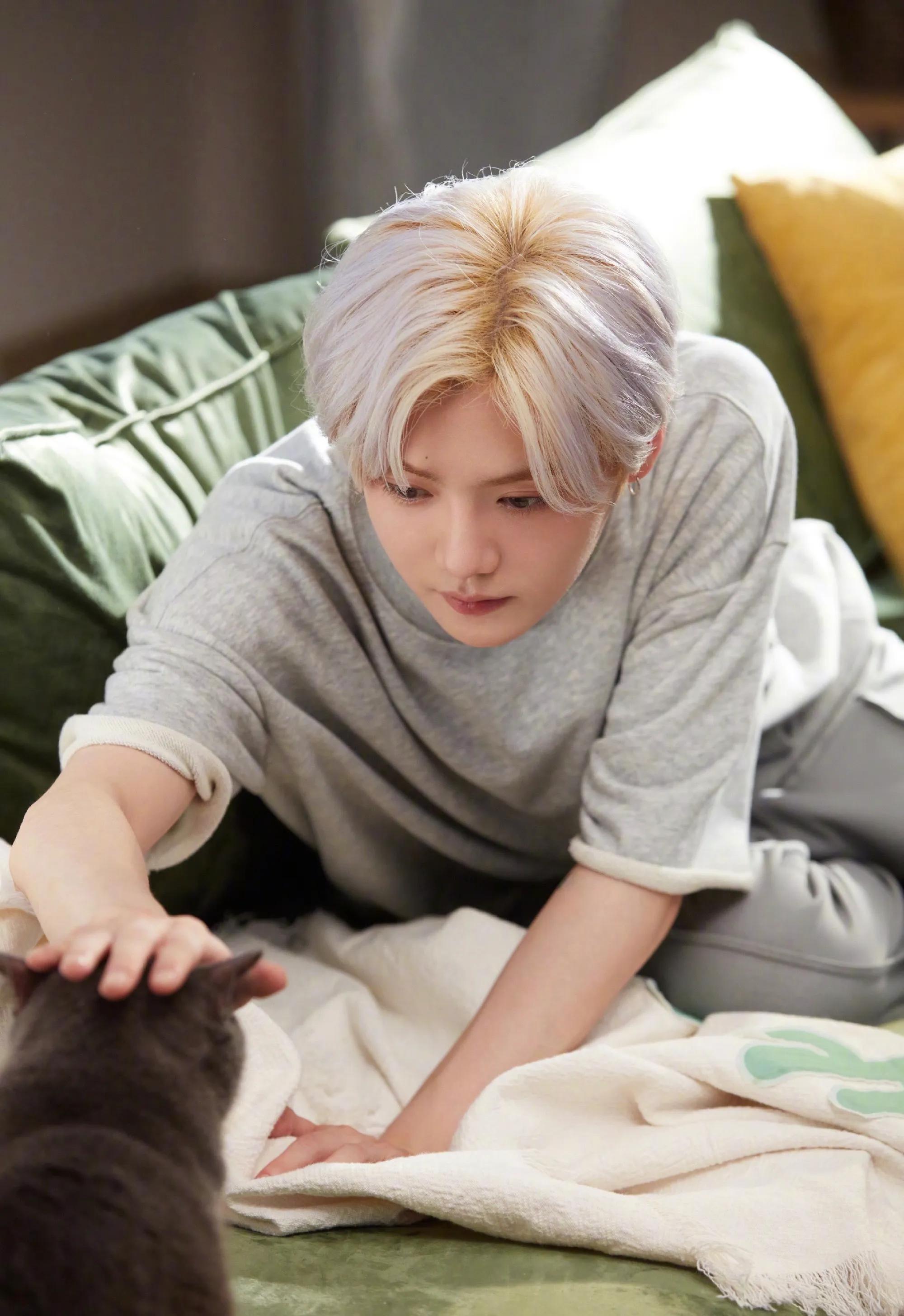 鹿晗高清壁纸4k全屏苹果,鹿晗壁纸