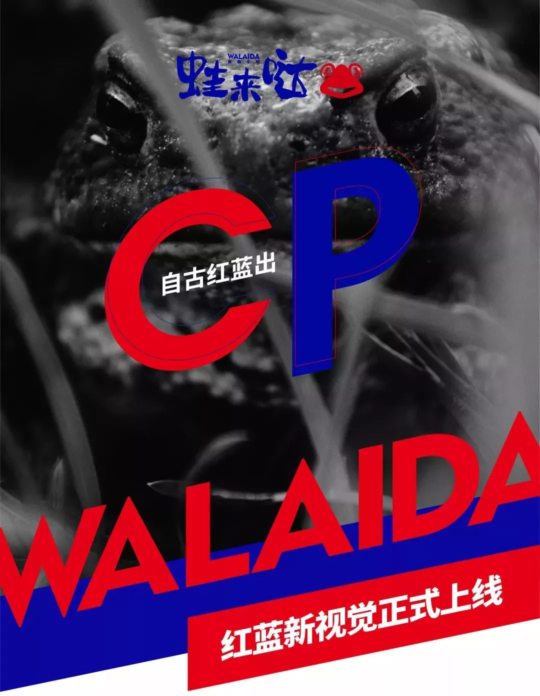 餐饮连锁品牌设计推荐,餐饮连锁品牌如何提高知名度