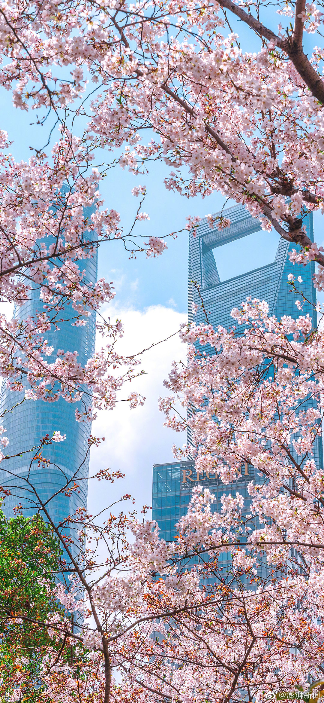 高考阅读理解常考的高频词汇,阅读理解高中必背词汇