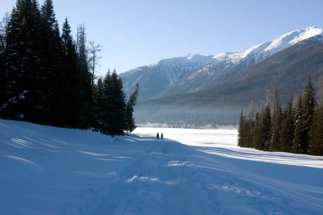 鍫瘮鐟炲+鐨勪腑鍥芥粦闆満,濯茬編鐟炲+