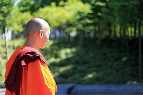 南无阿弥陀佛读了啥好处,南无阿弥陀佛真实意思是