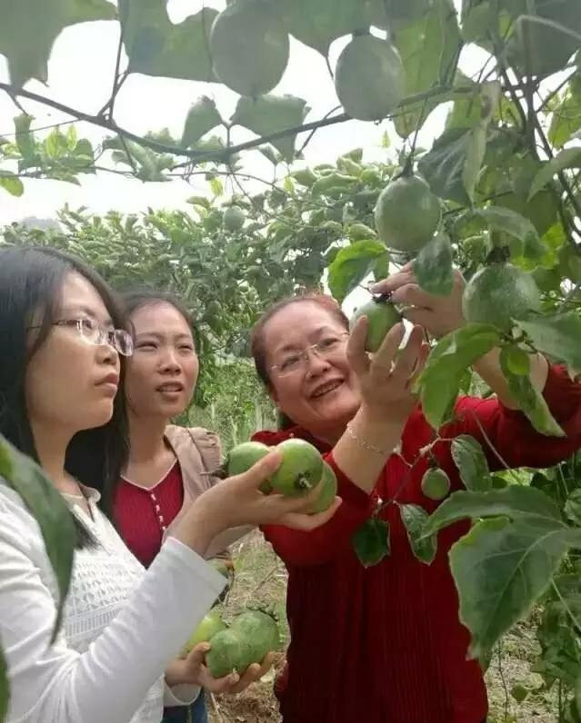 1688年销售额突破千万怎么报税,半年销售额破10亿如何做到的