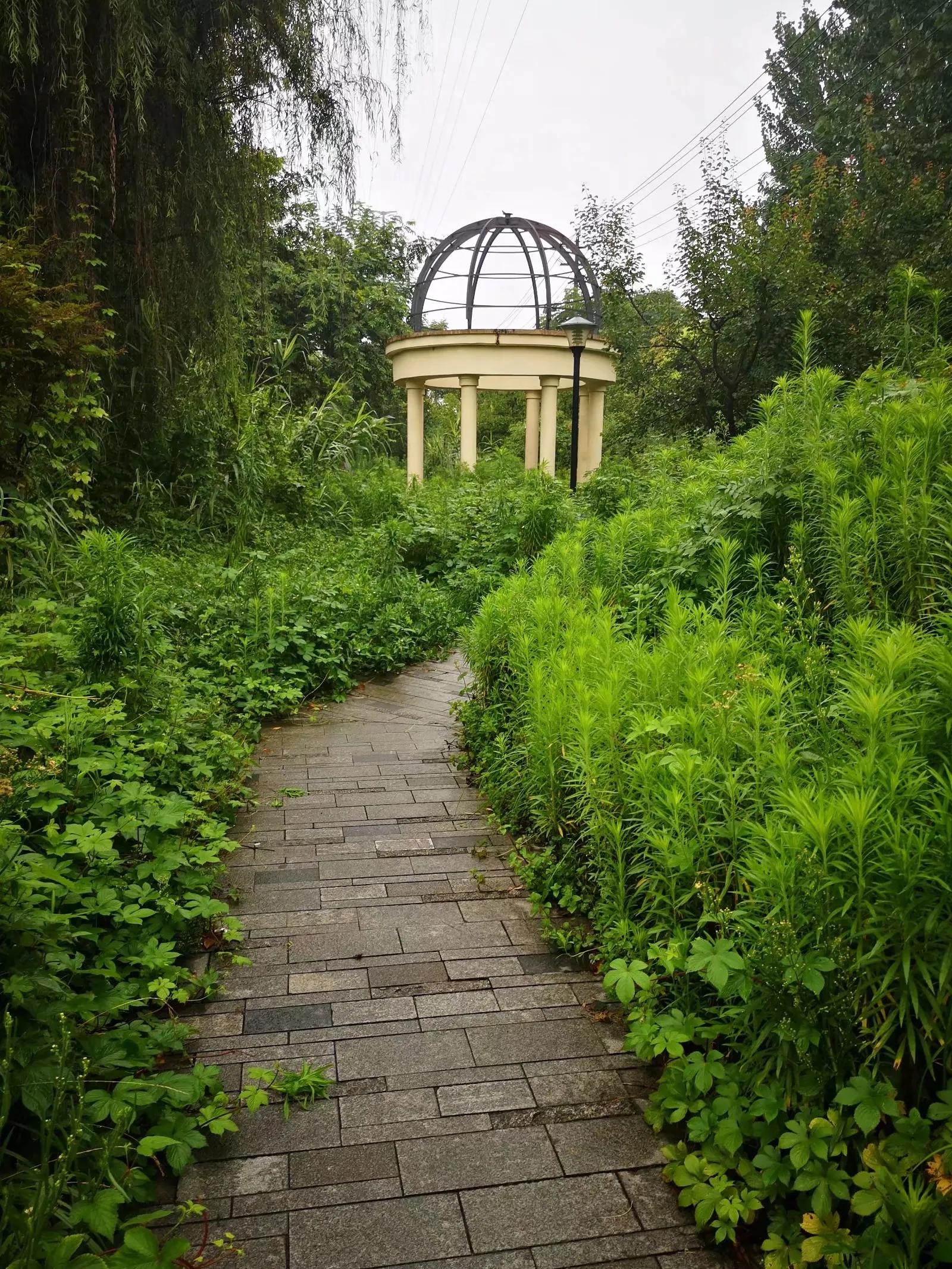 红光，一座荣光与梦想并存的小城