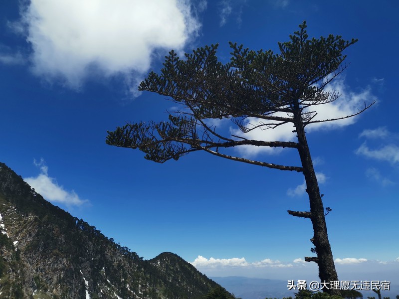 苍山一日游旅游攻略,苍山一日游自驾游