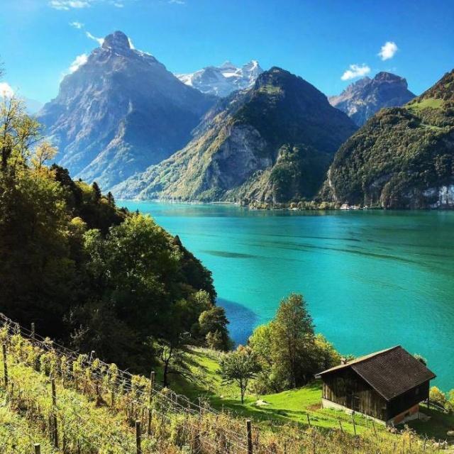 形容一个人阳光正能量的成语,形容人正能量的六字成语