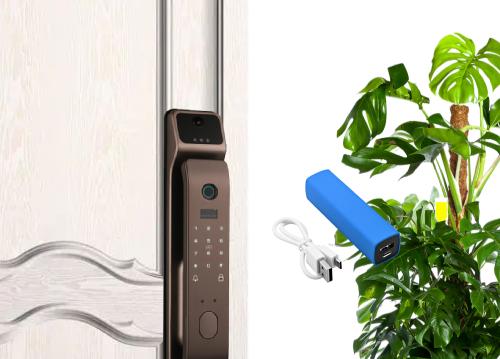 按了指纹之后显示要密码,指纹锁语音报开但却打不开