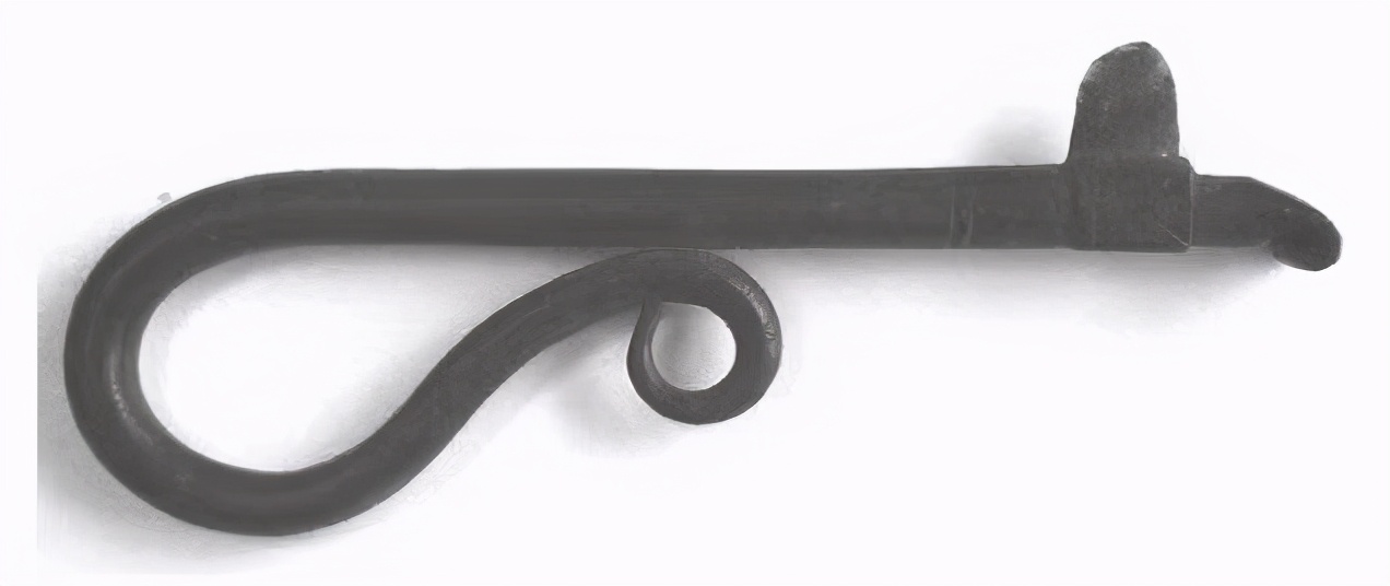 欧洲水蛭放血治疗,外国人用水蛭放在身上治病