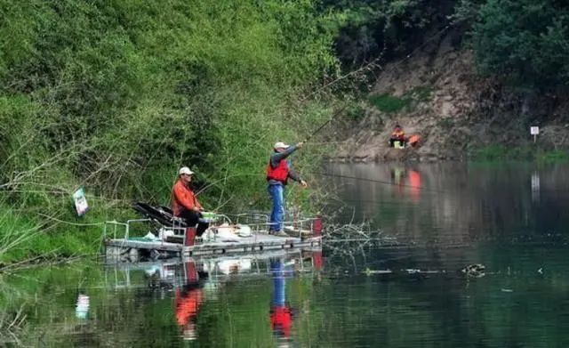 泥鳅打窝为什么钓不到,泥鳅打窝钓鱼的正确方法和技巧