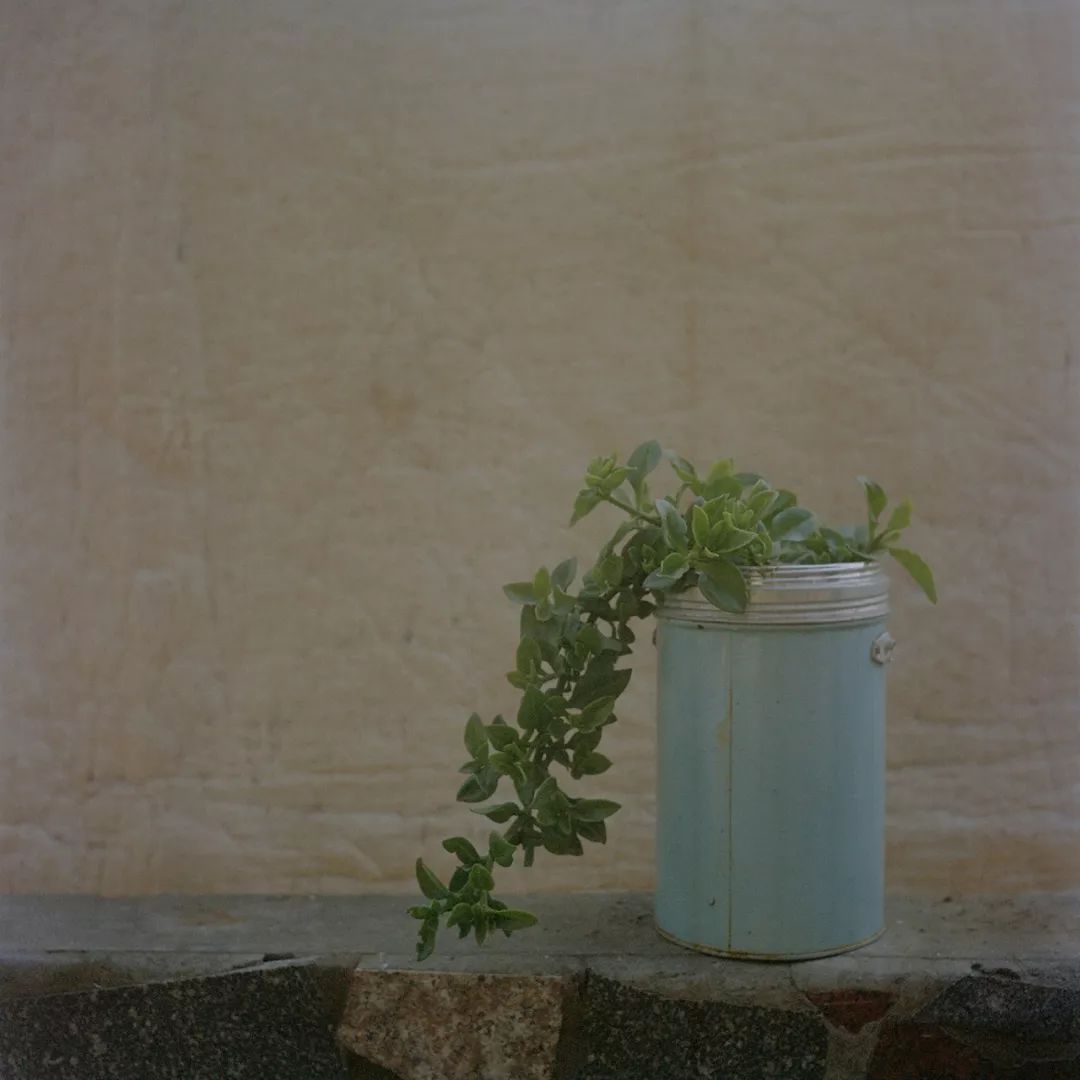 一个泉州小伙的中国荒村启示录