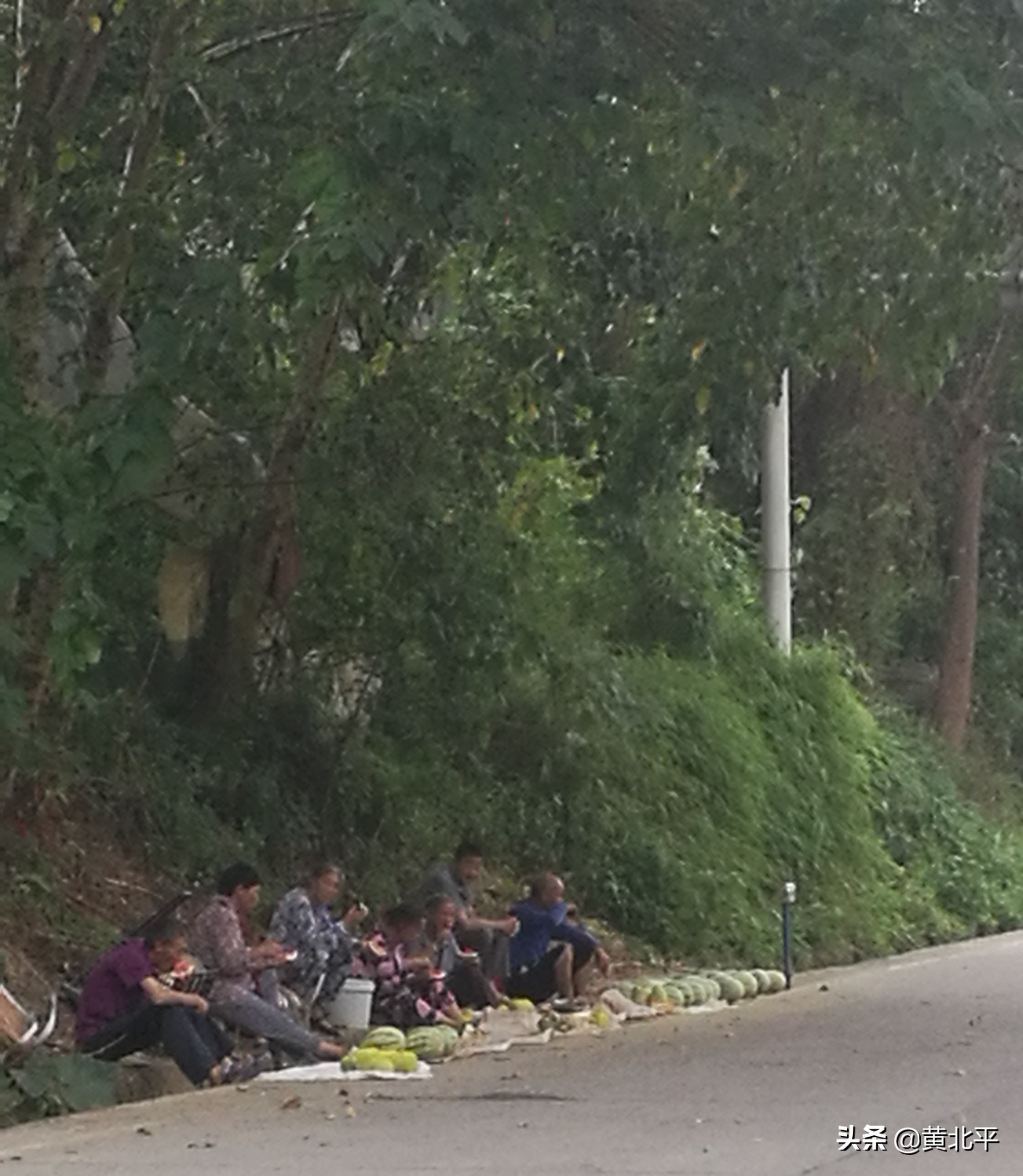 重庆江津区临峰名人,江津区临峰山景区