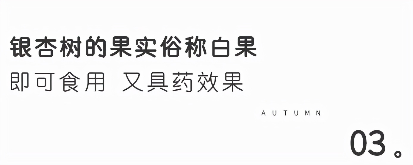 腾冲县地图在云南的哪个位置,腾冲边境地图
