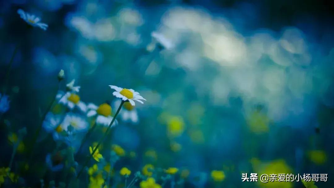 水是冰的泪原唱完整版,歌曲水是冰的眼泪女版