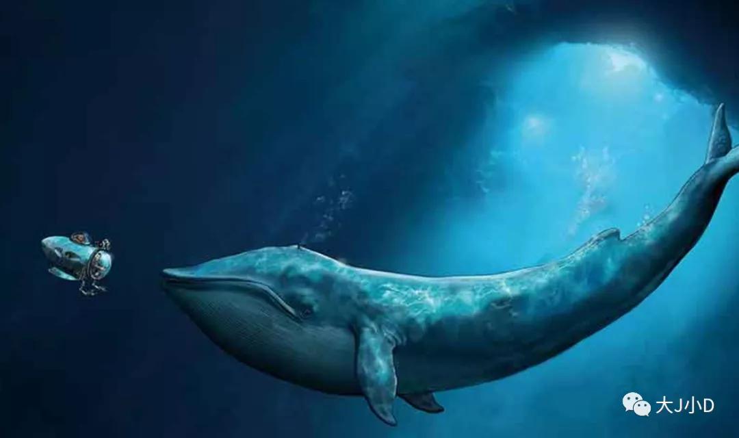 大班经典绘本推荐,国际获奖幼儿经典绘本推荐