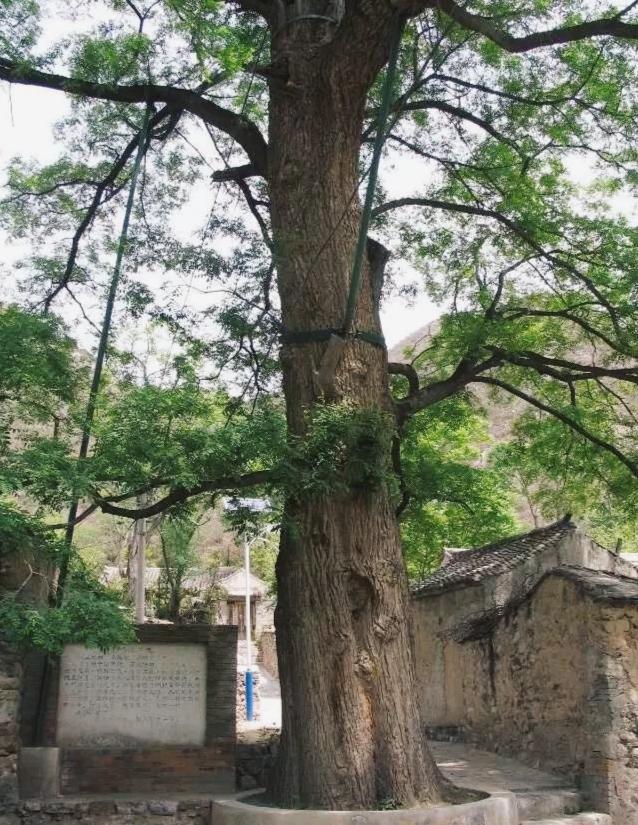 走进延庆古村落,京西碣石村游玩攻略