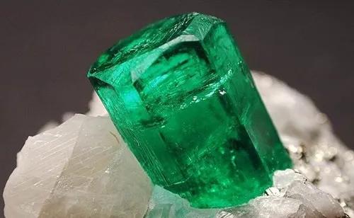 张雨绮最新消息 (张雨绮身价有多少)