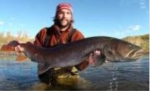 全国十大凶猛淡水鱼是什么,十大养不死的淡水鱼大型凶猛