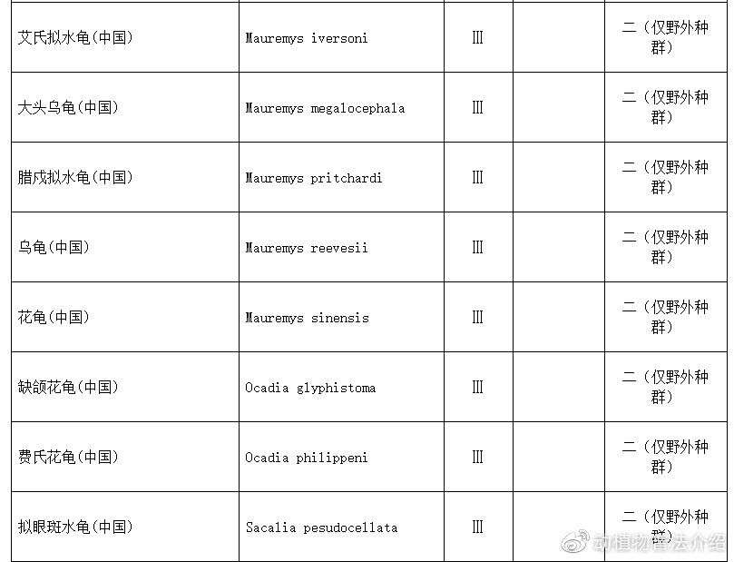 匠志萌宠乐园教学,匠志萌宠