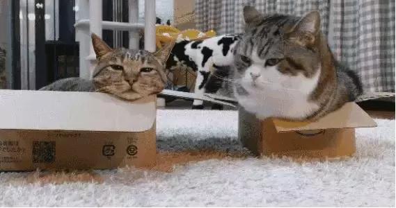 百里挑一冬天穿什么鞋,百里挑一穿长靴