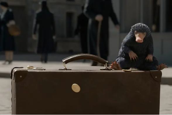 在摩尔庄园拥有500栋楼,在摩尔庄园种地