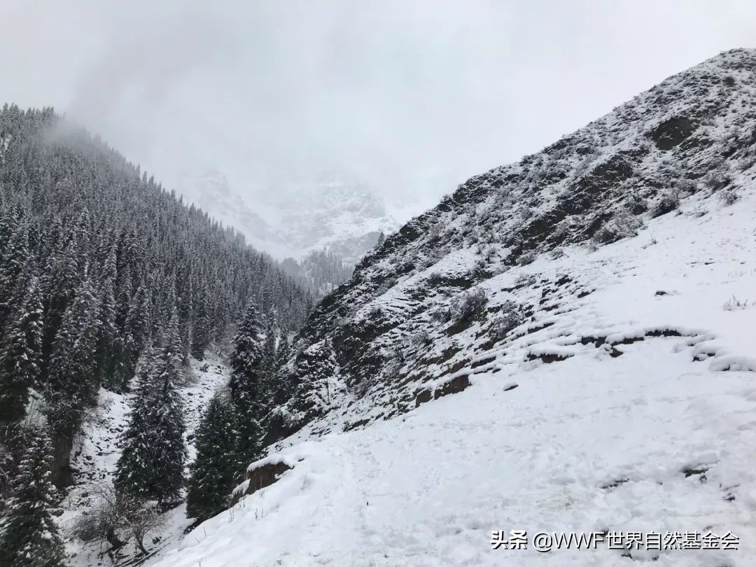 如何品味普洱茶,如何品味一杯红茶