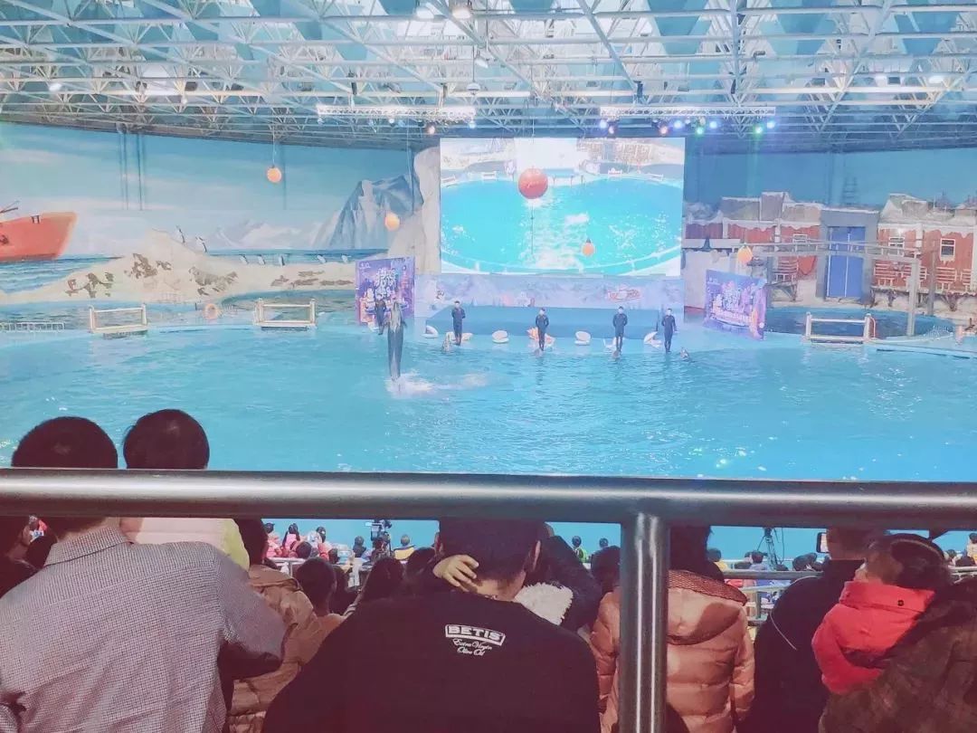 青岛13号线网红景点,青岛最值得去的景点和网红打卡点