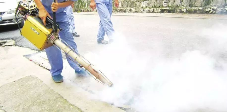 已经有螨虫了可以用博来恩吗,蓝雪花有了螨虫的表现