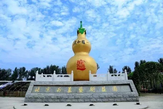 顺义大芦苇荡樱桃采摘园,顺义五大樱桃园