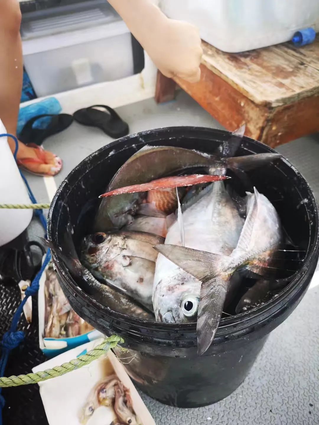 源创力Talk|罗斌：没有故事的建筑，像找不到“回家路”的孩子