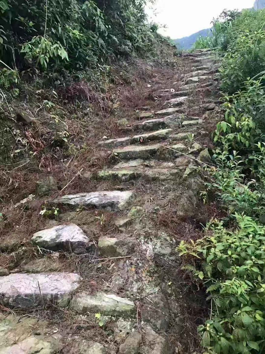 意境十足的千年古镇,千年古镇桃源之地