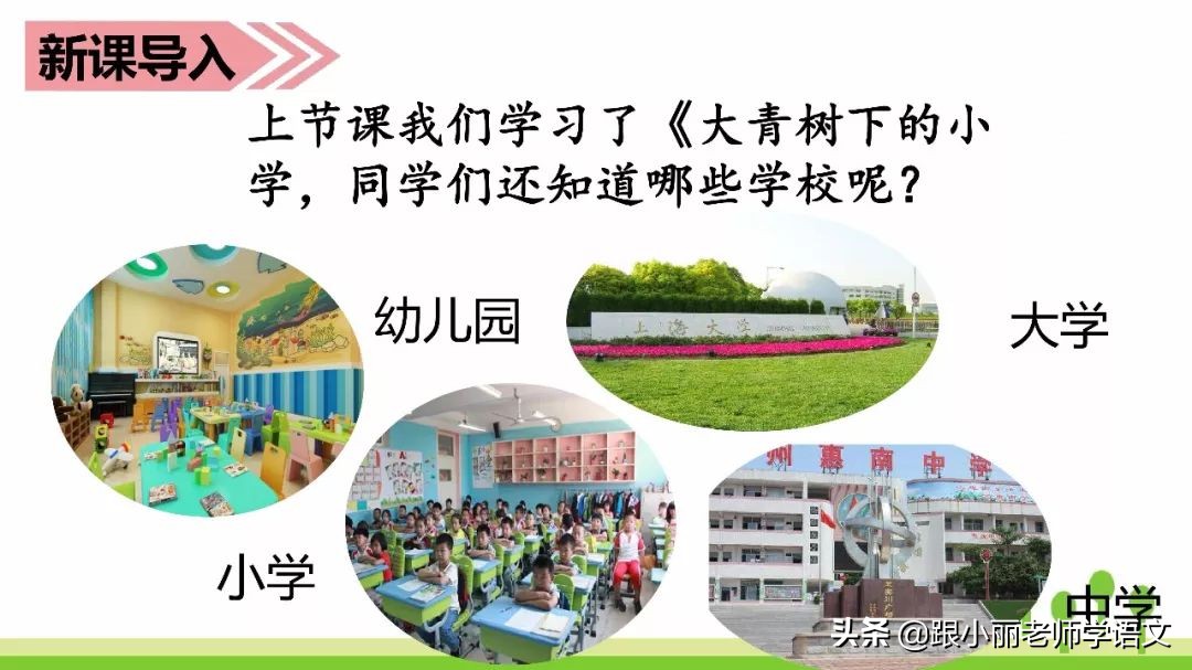 赶紧替孩子保存，复习一定用得上，三上《花的学校》知识点梳理