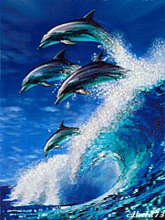 几十张绝美的图,绝美花的倒影100张图片