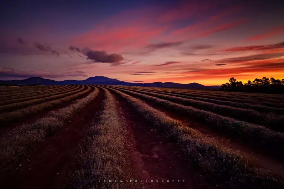 卡色第三代金刚狼磁吸滤镜优缺点,卡色第四代金刚狼磁吸滤镜