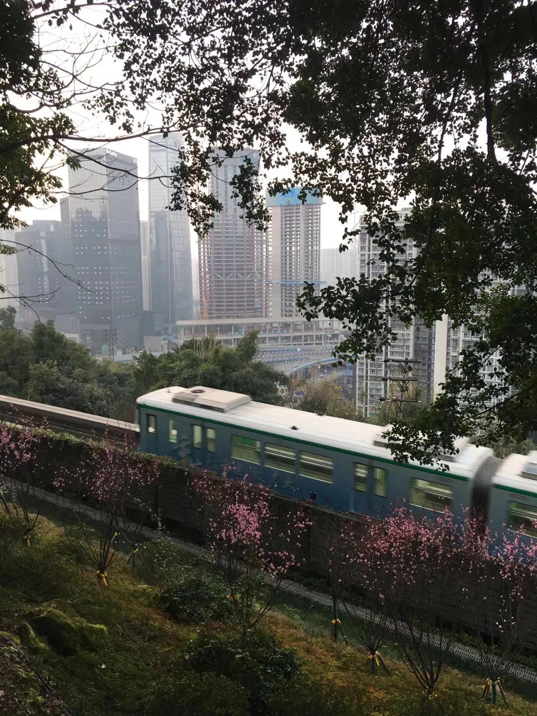 重庆大坪周边攻略,重庆怎么玩转大坪