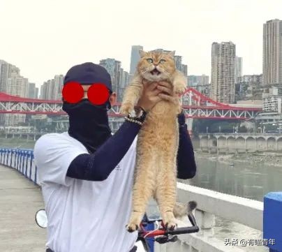 网红绑猫*藏西**骑行求关注,遭网友质疑回怼:比在家里刺激多了
