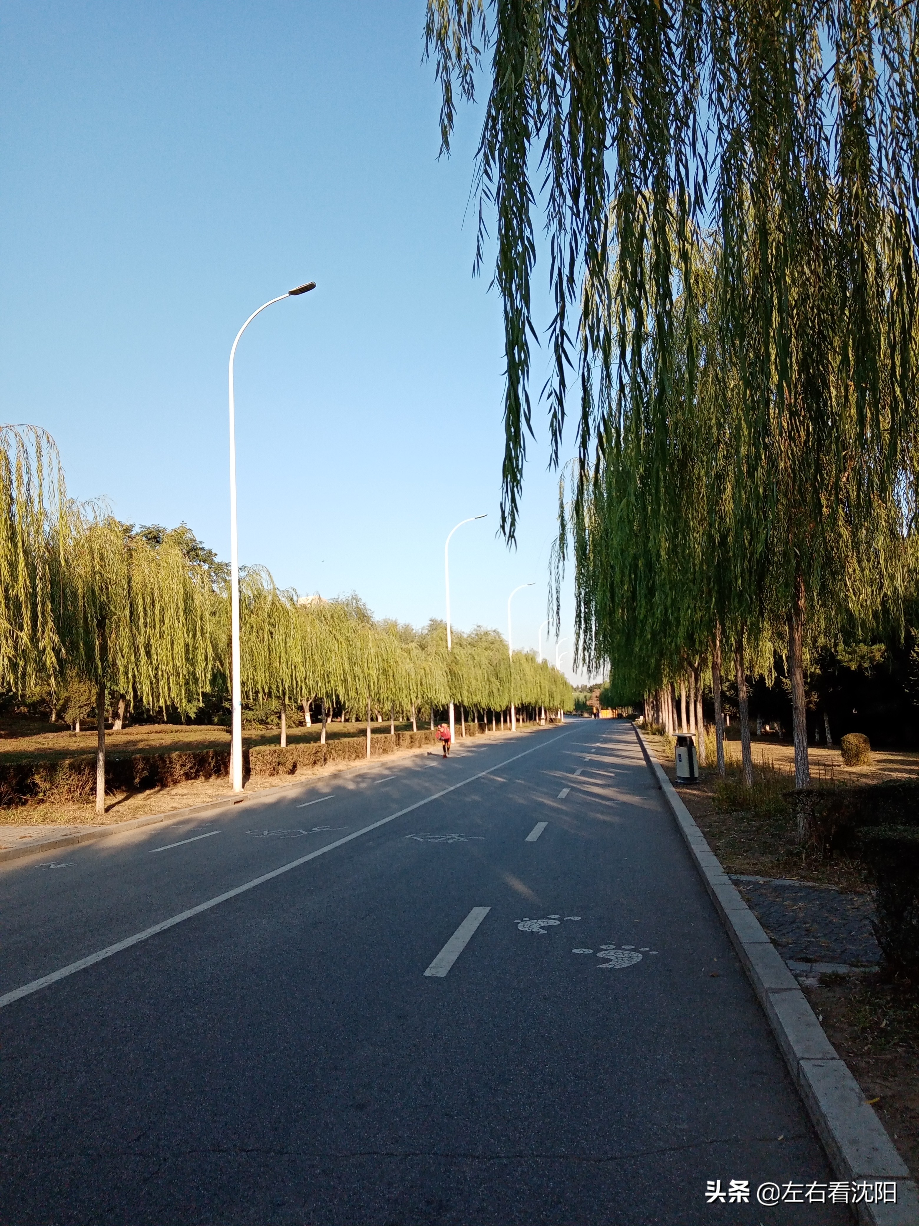 沈阳五里河公园攻略,沈阳五里河公园现在开吗