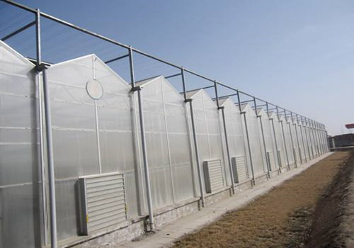 阳光板温室大棚优缺点,阳光板温室大棚室内效果