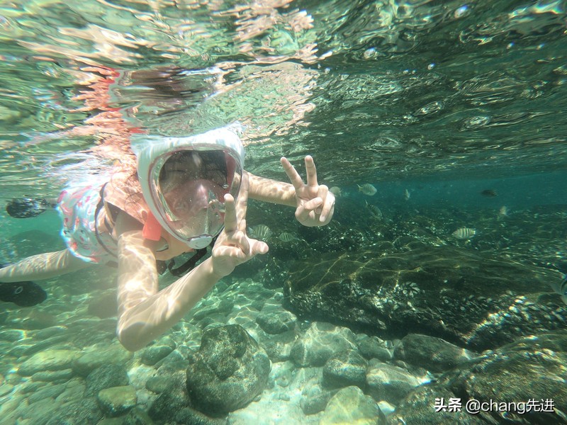泰国普吉斯米兰跟团浮潜,泰国普吉岛自由潜水皇帝岛