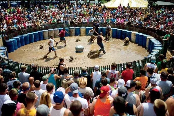 猪年说猪,猪年趣谈猪